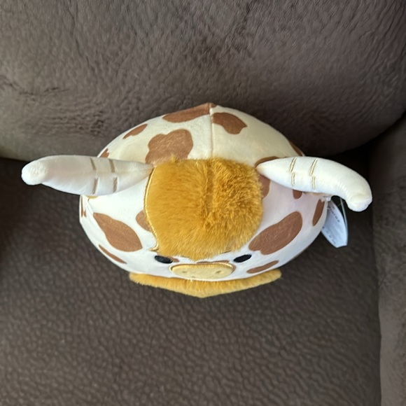 NWT 8in. Alonzo Squishmallow - Picture 6 of 7